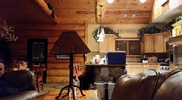 cabin in the wilderness